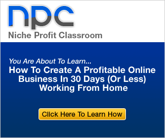 how to Build Rapid Niche Websites with a Proven System...