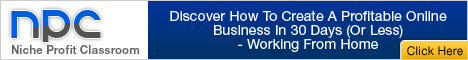 I highly recommend Niche Profit Classroom...